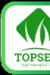 TOPSEM