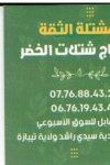 مشتلة الثقة