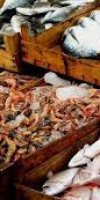 Safah Ali vend du poisson