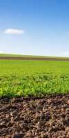 mise en valeur de terre agricole 	LAANKA BIGUUA