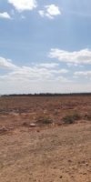Réf : 183 Vente terrain agricole sup 170 hectares à Djelfa Aïn Oussera Sersou 