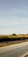 Réf : 121  Vente terrain sup 255 hectares à Djelfa, Aïn El Ibel  